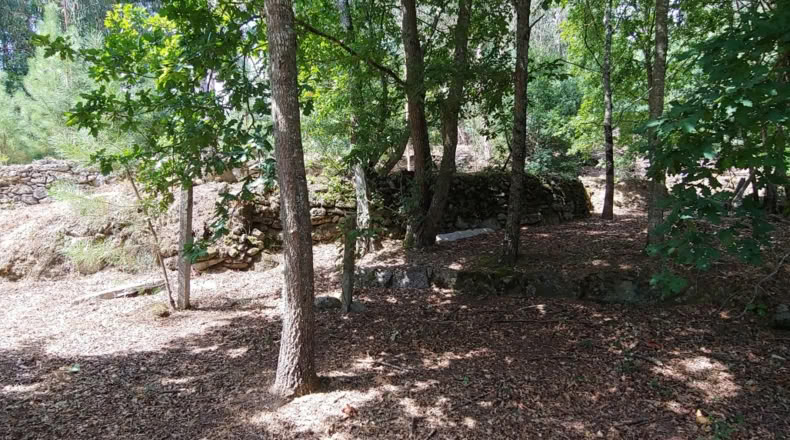 Pontevedra - Salceda de Caselas - 6000m2