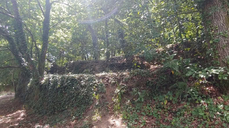 Pontevedra - Salceda de Caselas - 6000m2