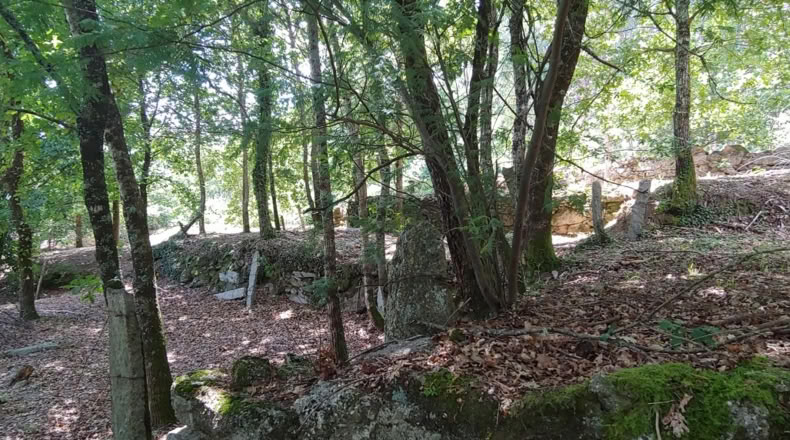 Pontevedra - Salceda de Caselas - 6000m2