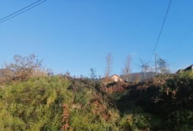 Tomiño 600&nbsp;m²