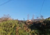Urban land for sale in Tomiño ref: TR108172 photo