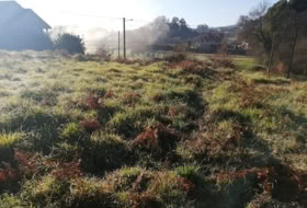 Tomiño 600&nbsp;m²