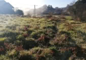Urban land for sale in Tomiño ref: TR108172 photo