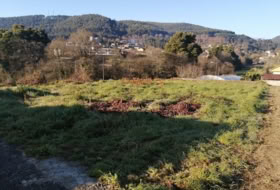 Tomiño 600&nbsp;m²