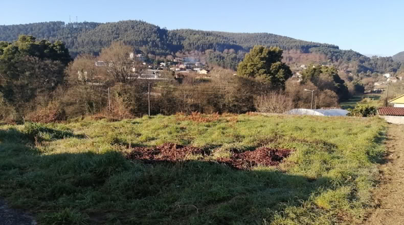 Pontevedra - Tomiño - 600m2