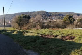 Tomiño 600&nbsp;m²