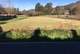 Tomiño 600&nbsp;m²