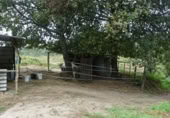 Terreny no urbanitzable en venda a Gondomar ref.: TR108170 foto