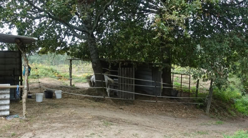 Pontevedra - Gondomar - 2000m2