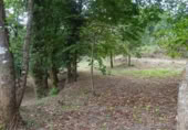 Terreny no urbanitzable en venda a Gondomar ref.: TR108170 foto