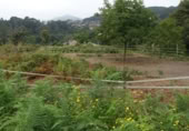 Terreny no urbanitzable en venda a Gondomar ref.: TR108170 foto