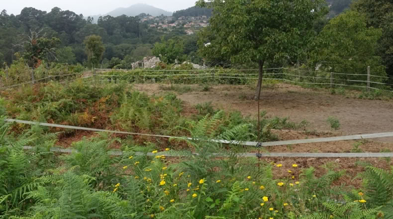 Pontevedra - Gondomar - 2000m2