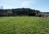 Xalet independent amb terreny en venda a A Lomba ref.: TR108103 foto