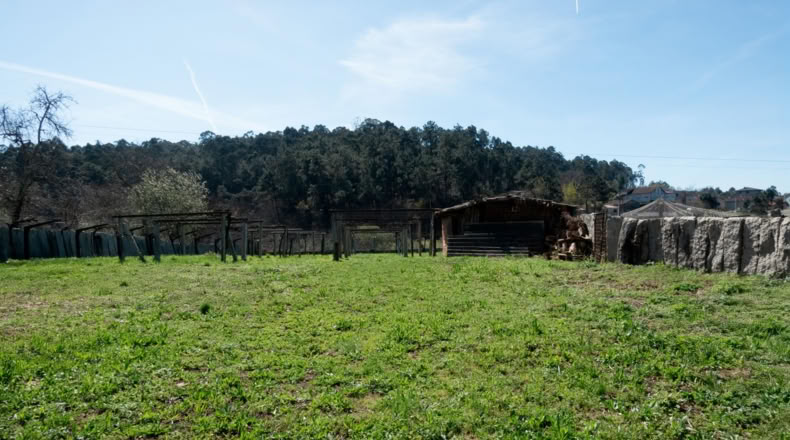 Pontevedra - Porriño - 772m2