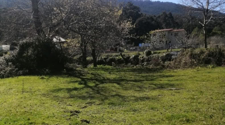 Pontevedra - Cardiña - 2500m2
