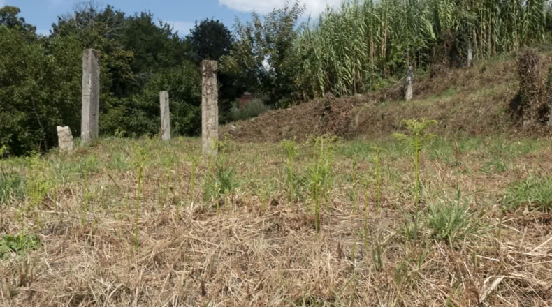 Pontevedra - Poio - 750m2