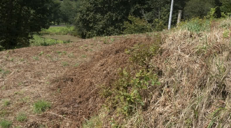 Pontevedra - Poio - 750m2