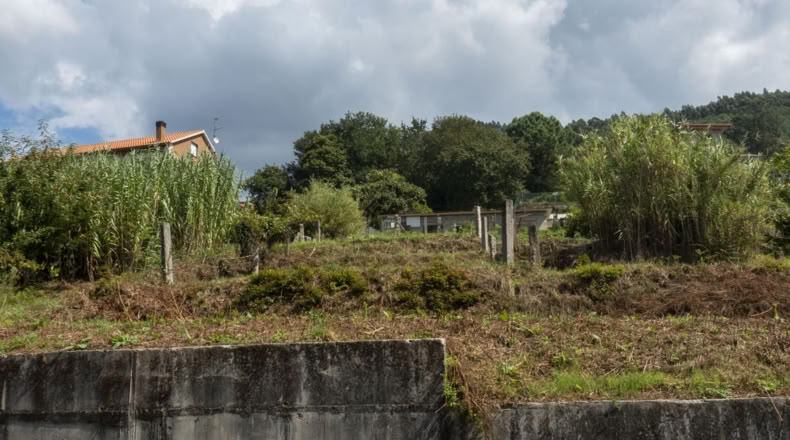 Pontevedra - Poio - 750m2