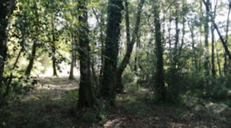Pontevedra - O Porriño - 1588m2