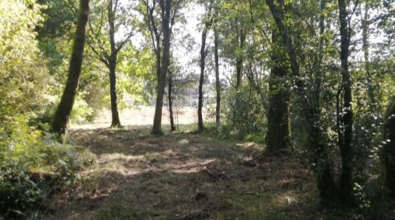 Pontevedra - O Porriño - 1588m2