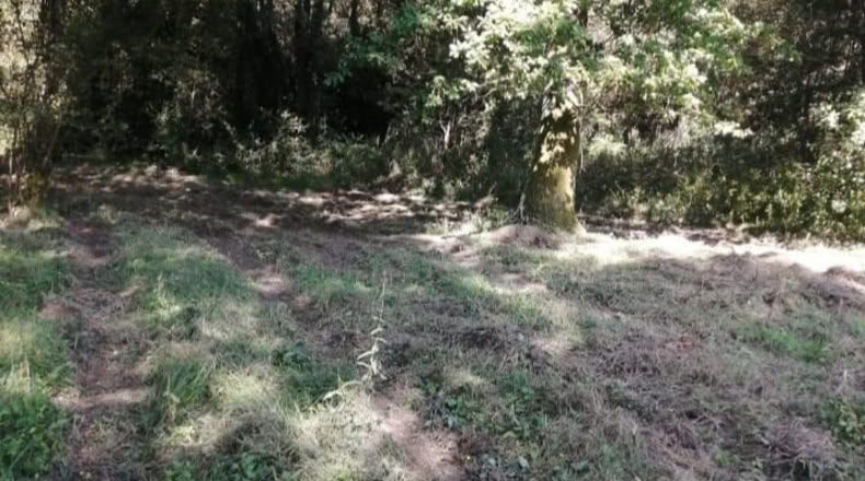 Pontevedra - O Porriño - 1588m2