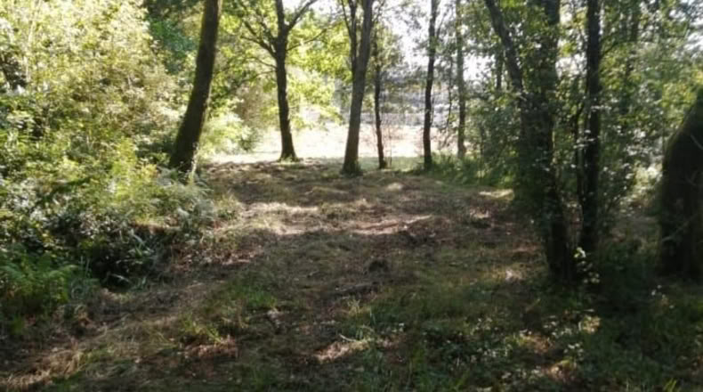 Pontevedra - O Porriño - 1588m2