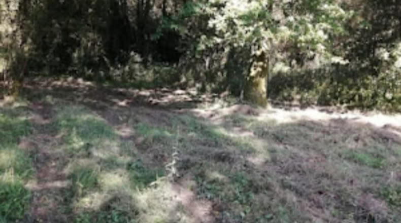 Pontevedra - O Porriño - 1588m2