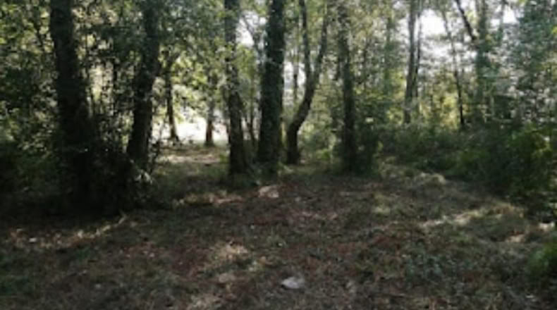 Pontevedra - O Porriño - 1588m2