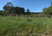 Sòl urbà en venda a O Casal ref.: TR108160 foto