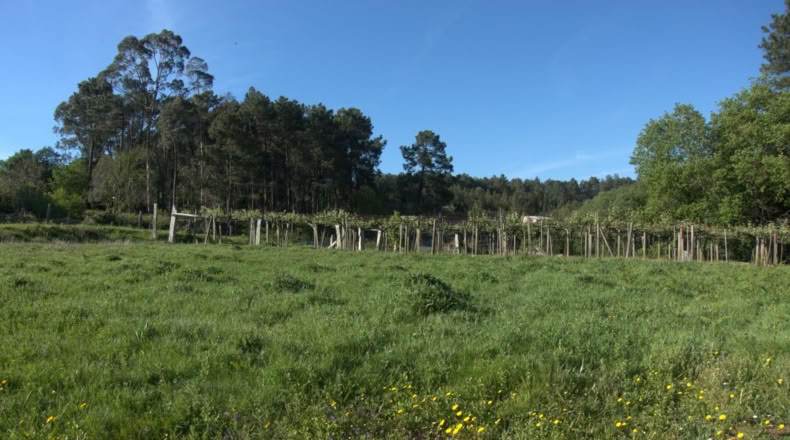Pontevedra - O Casal - 980m2