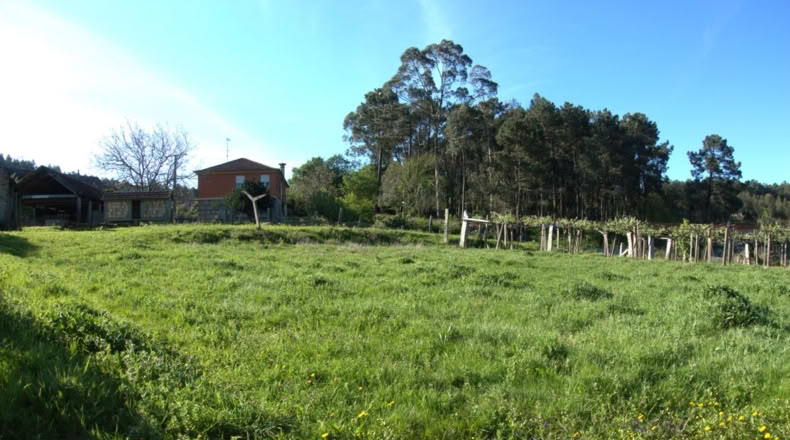 Pontevedra - O Casal - 980m2