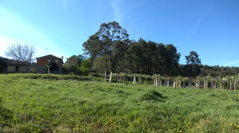 Pontevedra - O Casal - 980m2