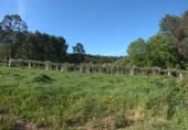Sòl urbà en venda a O Casal ref.: TR108160 foto