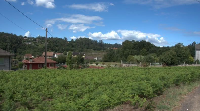 Pontevedra - Mos - 822m2