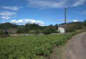 Parcel·la urbanitzable en venda a O Mosteiro ref.: TR110498 foto