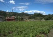 Parcel·la urbanitzable en venda a O Mosteiro ref.: TR110498 foto