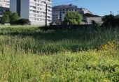 Land suitable for development for sale in Ponteareas ref: TR233149 photo