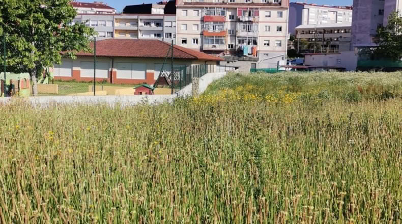 Pontevedra - Пуэнте-Ареас - 3270m2