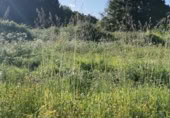 Land suitable for development for sale in Ponteareas ref: TR233149 photo