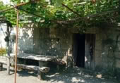 Rural estate for sale in Tui ref: TR258362 photo