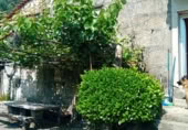 Rural estate for sale in Tui ref: TR258362 photo