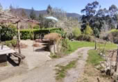 Rural estate for sale in Tui ref: TR258362 photo