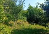 Rural estate for sale in Tui ref: TR258362 photo