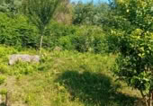Rural estate for sale in Tui ref: TR258362 photo