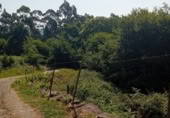 Rural estate for sale in Tui ref: TR258362 photo