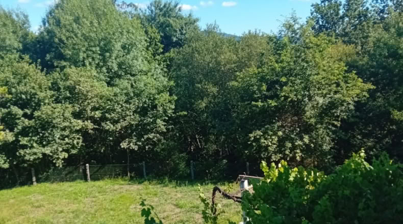 Orense - Covelo - 3500m2