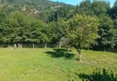 Finca rústica en venda a Santiago de Covelo ref.: TR261100 foto