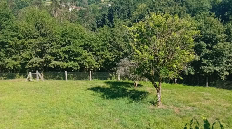 Orense - Covelo - 3500m2