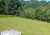 Finca rústica en venda a Santiago de Covelo ref.: TR261100 foto