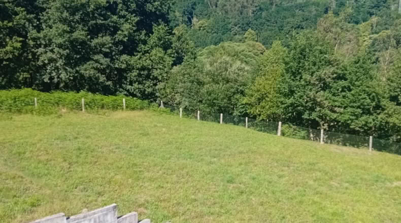 Orense - Covelo - 3500m2